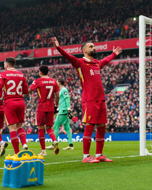 充满了特殊 充满了特殊