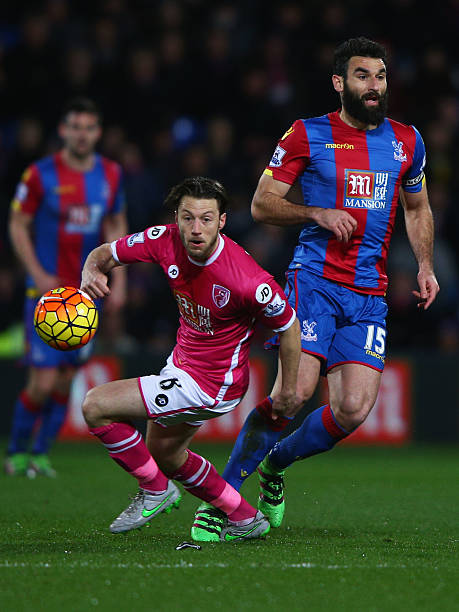 在本赛季 在本赛季